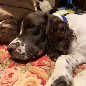 Meet your Posher, Alex